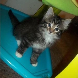 Meet your Posher, Jackie