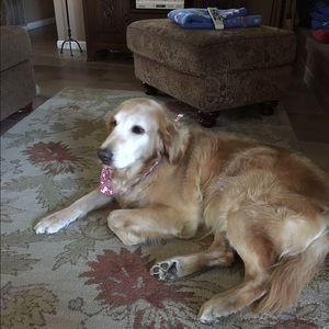 Meet your Posher, Martha