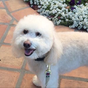 Meet your Posher, Nicolette