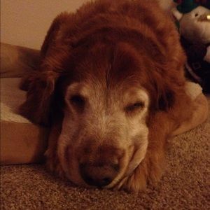 Meet your Posher, Kaylee