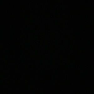 Meet your Posher, Bailey