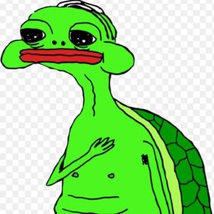 Meet your Posher, Tori