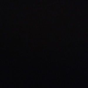 Meet your Posher, Shelby