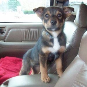 Meet your Posher, Amanda