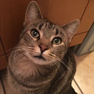 Meet your Posher, Madelynn