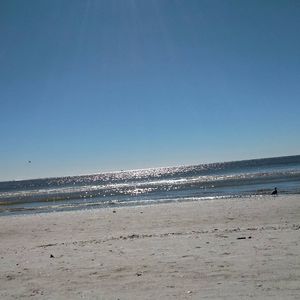 Meet your Posher, Vickie