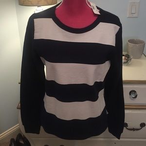 JCrew blue striped sweater