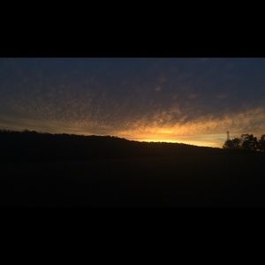 Meet your Posher, Robin