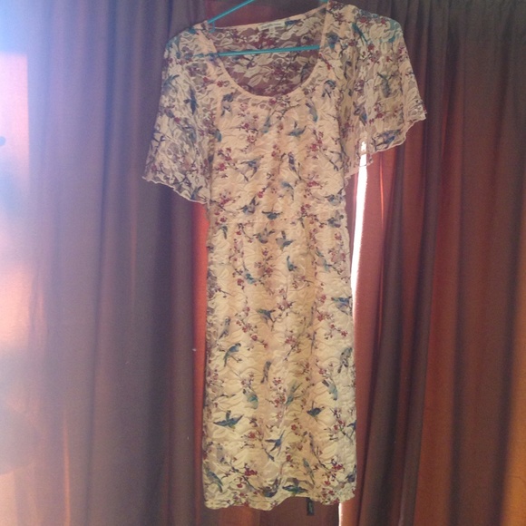 Lace dress