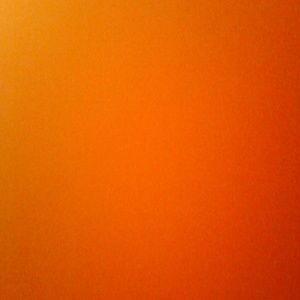 Meet your Posher, Justyce