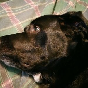 Meet your Posher, Chaunda