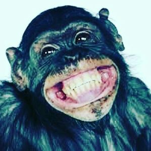 Meet your Posher, Regena