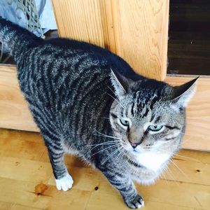 Meet your Posher, Jeanne