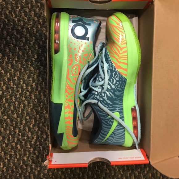 Liger KD's
