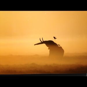 Meet your Posher, Tom