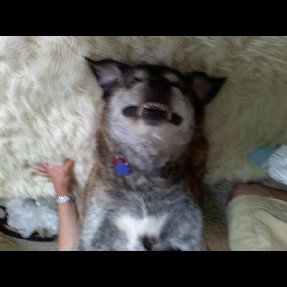 LOVE - Picture 2 of 8