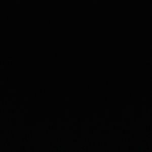 Meet your Posher, Jacky