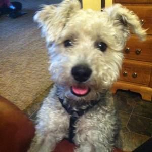 Meet your Posher, Gay