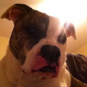 Meet your Posher, Trilaina