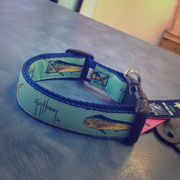 guy harvey dog collars