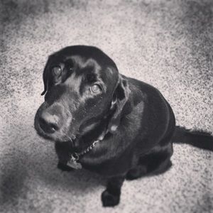 Meet your Posher, Kathryn