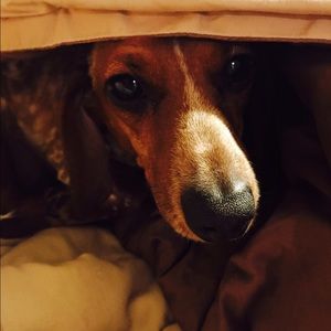 Meet your Posher, Jacke