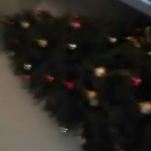 Meet your Posher, Shelby