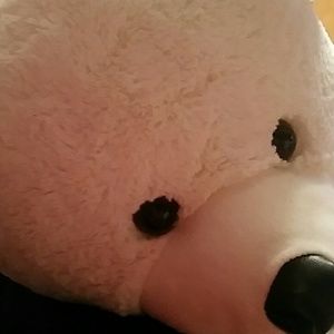 Meet your Posher, Kenzie