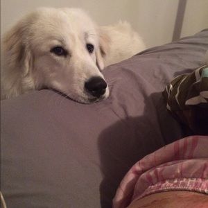 Meet your Posher, Michelle