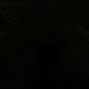 Meet your Posher, Camri