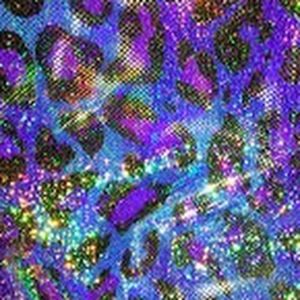 Meet your Posher, Tiana