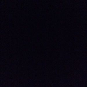 Meet your Posher, Bella