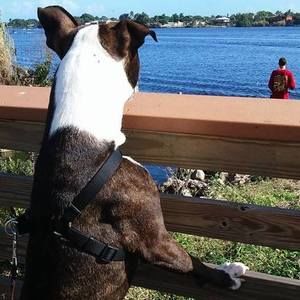 Meet your Posher, Nick