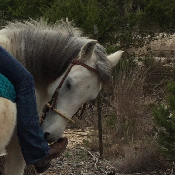 Meet your Posher, Alexa - Picture 1 of 1