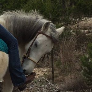 Meet your Posher, Alexa