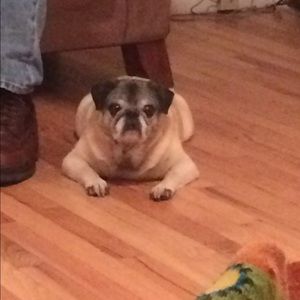 Meet your Posher, Heather