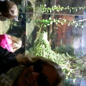 Meet your Posher, Donna