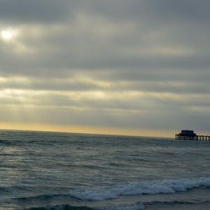 Meet your Posher, Amelia