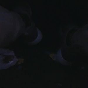 Meet your Posher, Shane