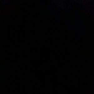 Meet your Posher, Bryan