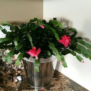 Meet your Posher, Lynda