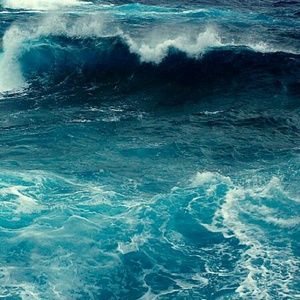 Meet your Posher, Karyn