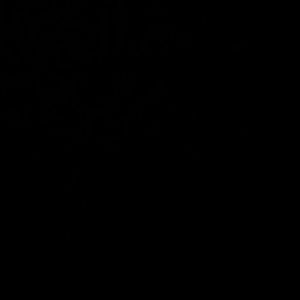 Meet your Posher, Shail