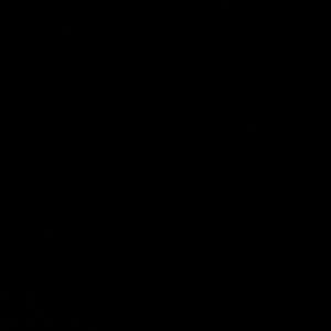 Meet your Posher, Ella