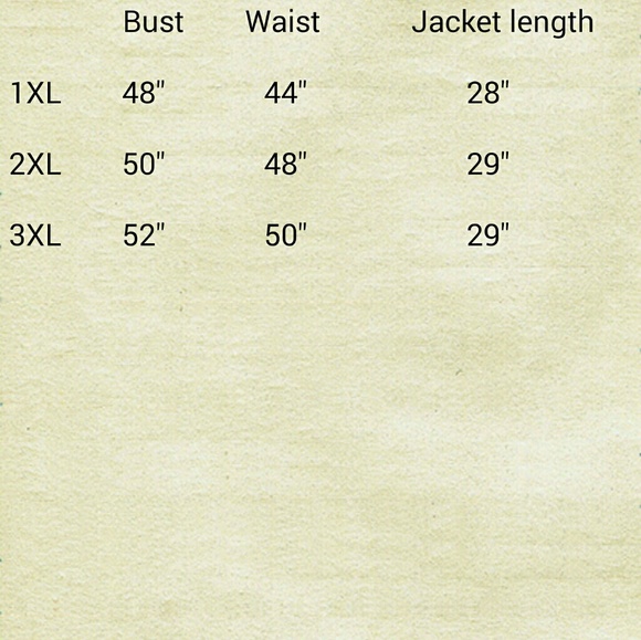 Make an Offer🎉 Anorak Jacket - Picture 4 of 4