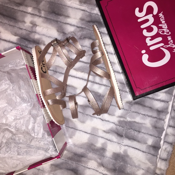Sam Edelman Shoes - Sam Edelman Circus Rose Glitter Gladiator Sandal