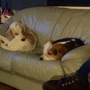 Meet your Posher, Sherry