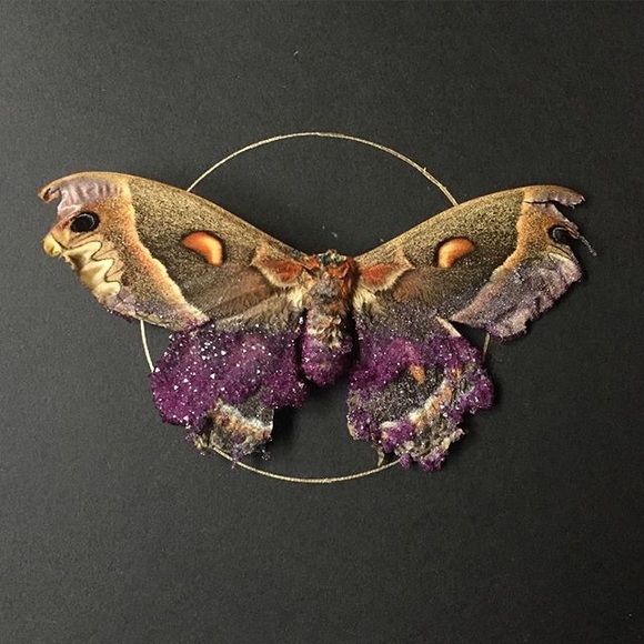 Meet your Posher, Kayellen