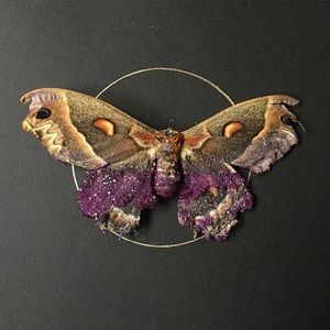 Meet your Posher, Kayellen