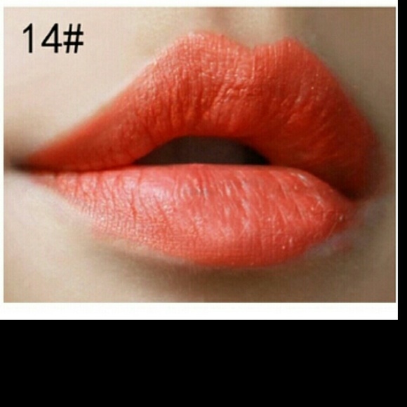 MATTE LIP GLOSS - Picture 3 of 4